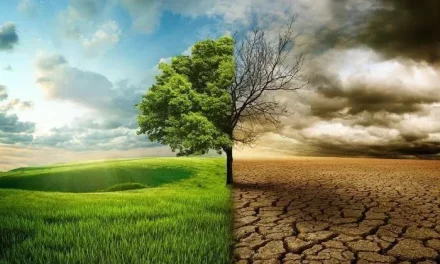 Perubahan Iklim Dan Cuaca Ekstrem: Fakta, Dampak, Dan Solusi