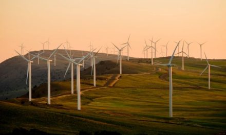 Energi Terbarukan Menjadi Solusi Untuk Masa Depan