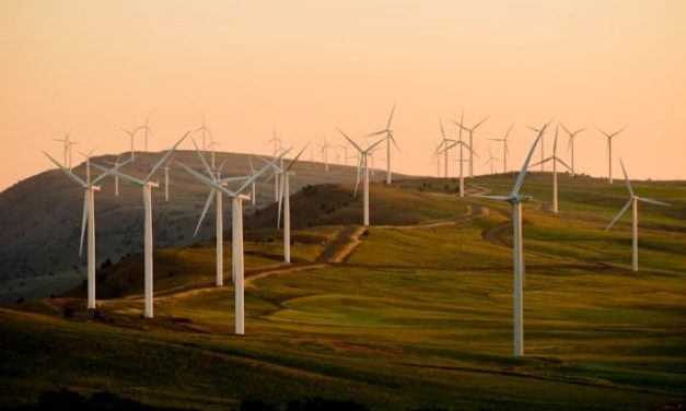 Energi Terbarukan Menjadi Solusi Untuk Masa Depan