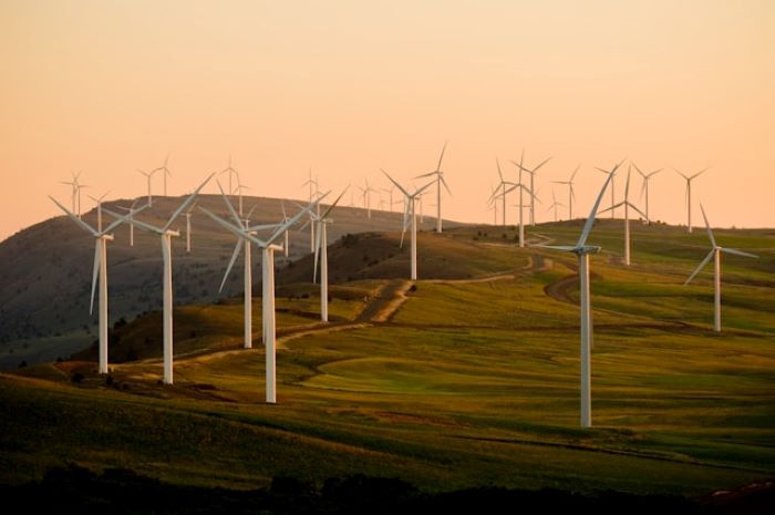 Energi Terbarukan Menjadi Solusi Untuk Masa Depan