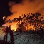 Kebakaran Hutan Kalimantan Meluas